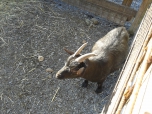 Výlet RODAS